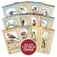 Hunkydory - Whopper Topper Pad - Britain's Favourite Birds